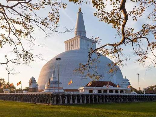 Jaya Sri Maha Bodhi sacred fig tree in Anuradhapura