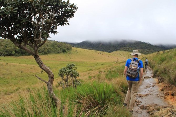 Baker's Falls cascading through montane cloud forest in Horton Plains