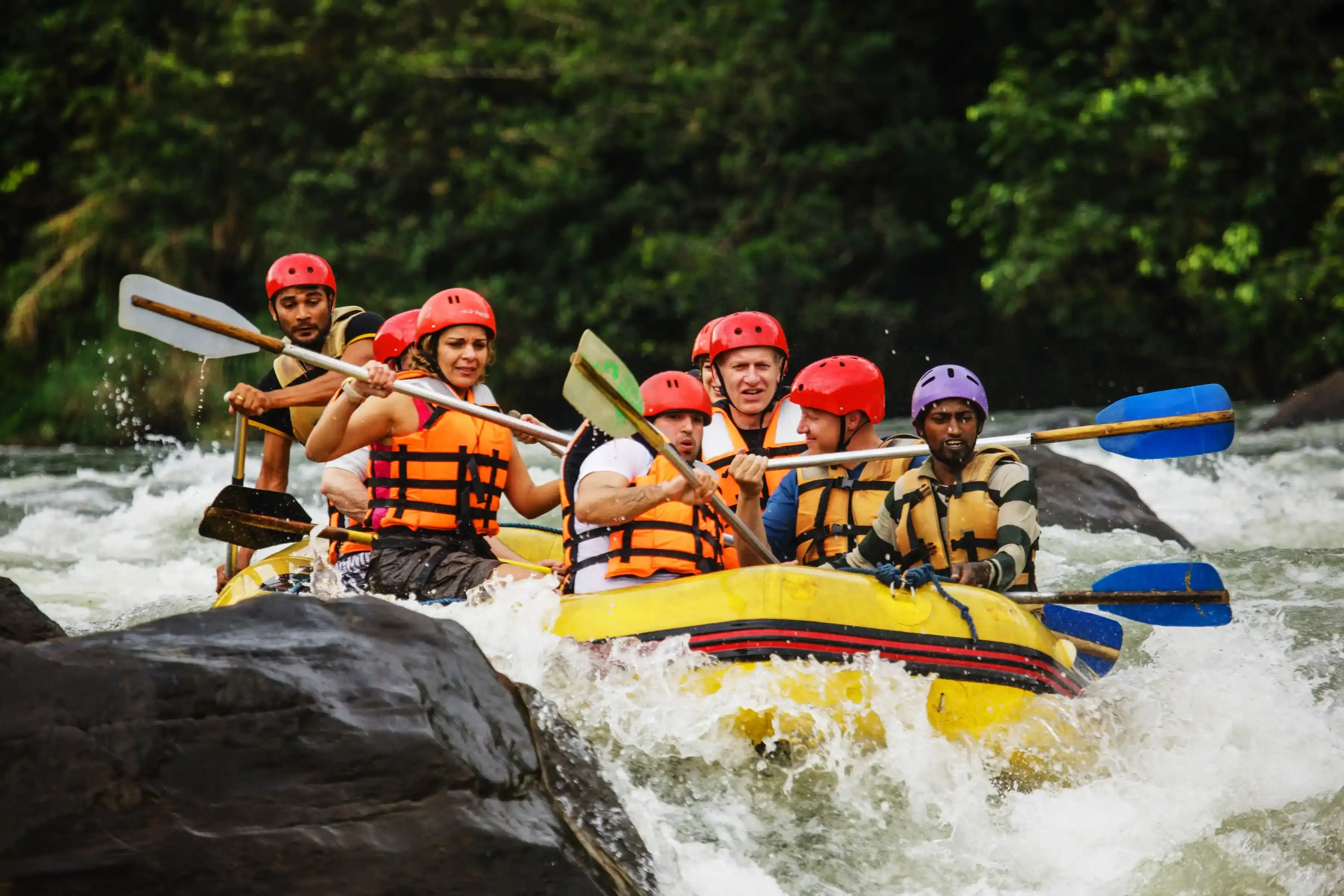 Lush tropical rainforest canopy and canyoning streams in Kitulgala