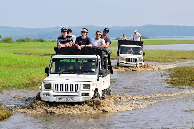 4x4 safari jeep encountering wild elephants in Minneriya