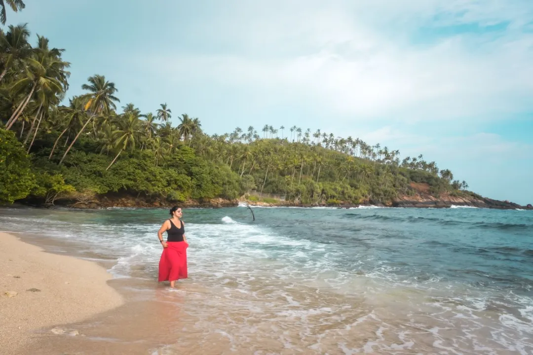 Blue whale watching boat excursion in Mirissa ocean