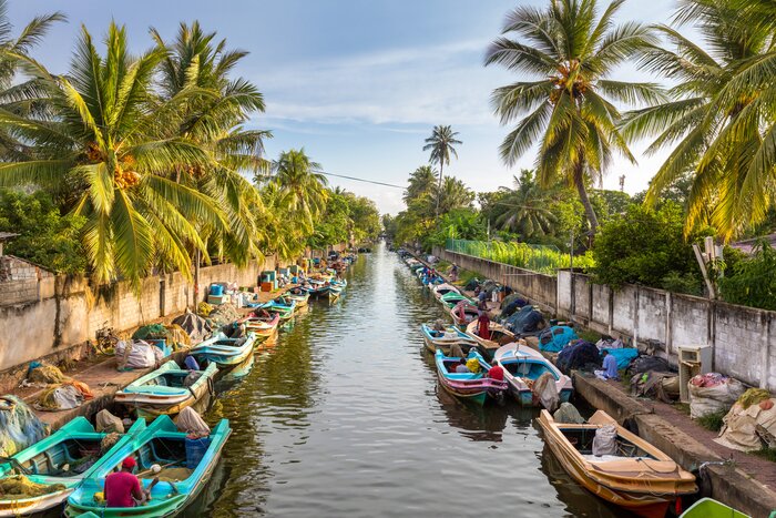 Traditional catamarans and fishing boats on Negombo beach