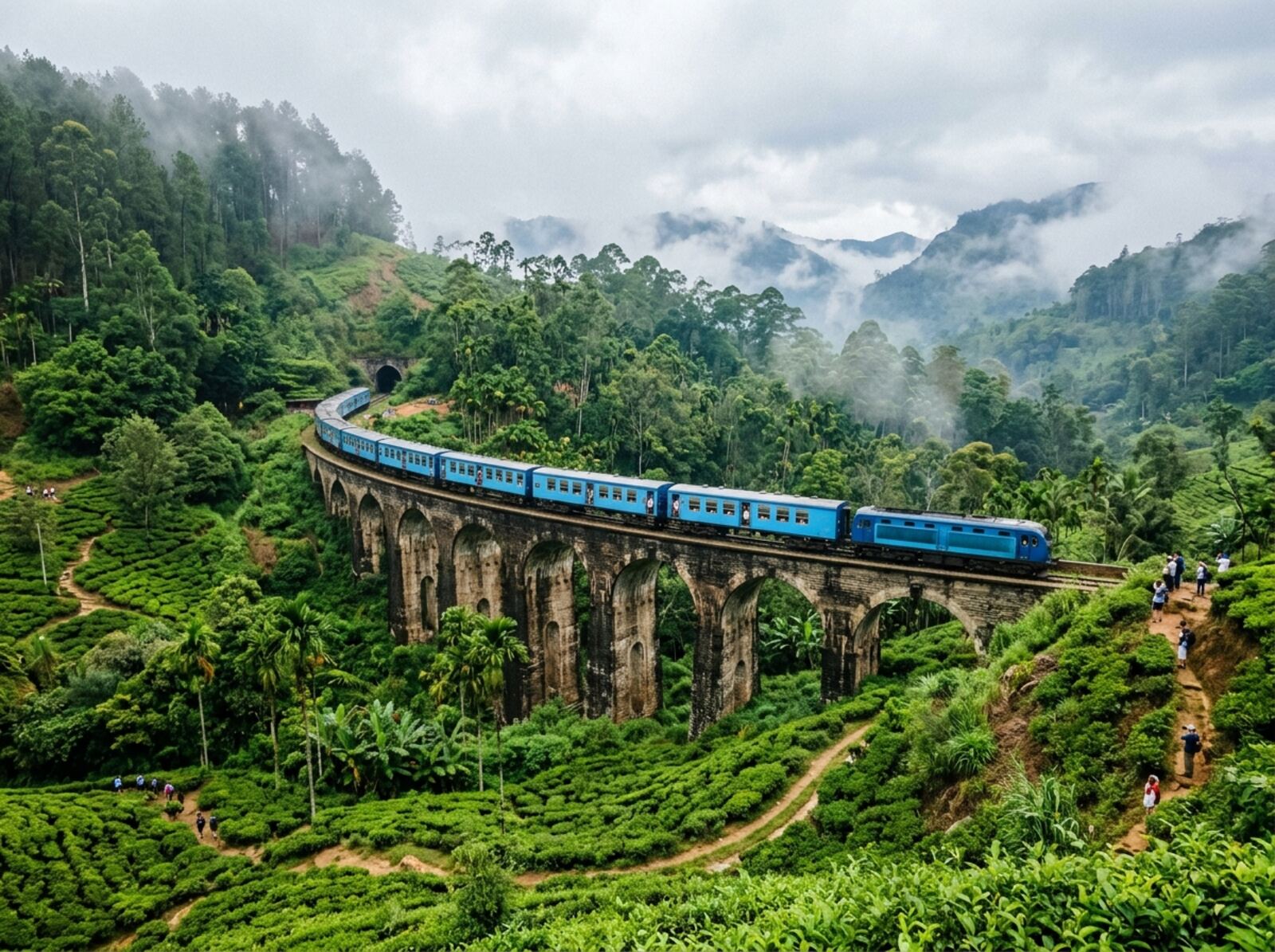 Tea Country & Scenic Trains