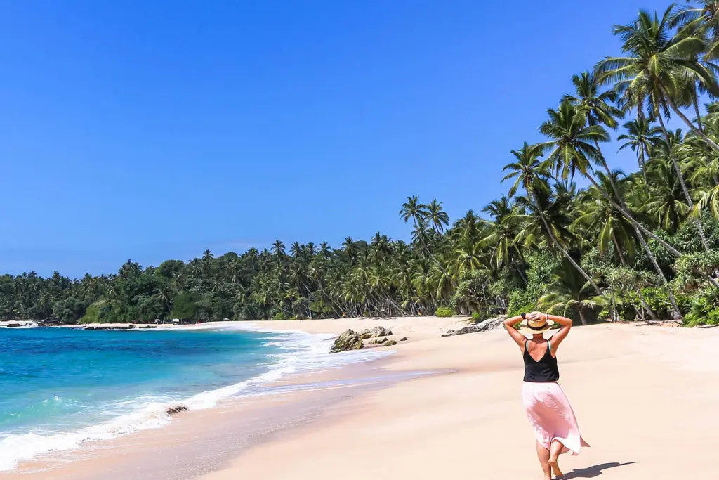 Sea turtle conservation night nesting at Rekawa Beach Tangalle
