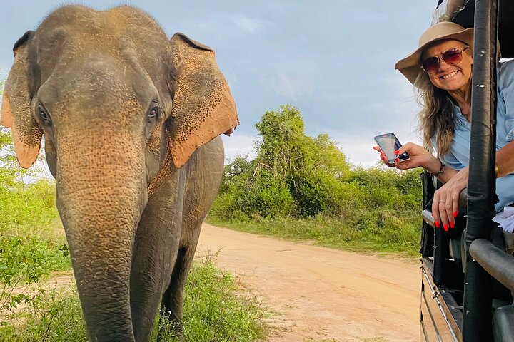 Baby elephant feeding at the Elephant Transit Home near Udawalawe