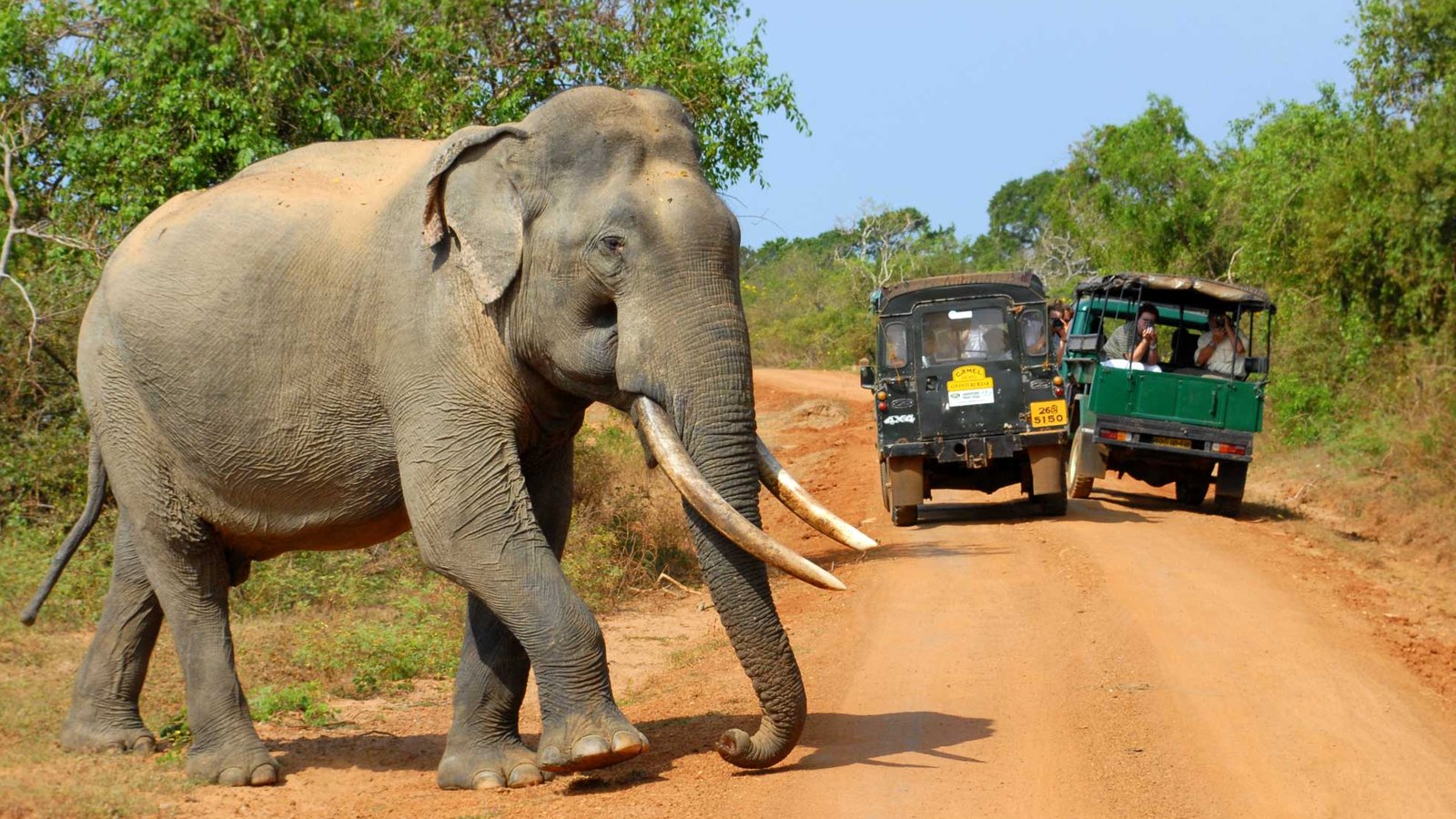 Coastal wilderness and granite boulders in Yala